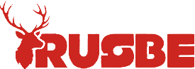 corusbe.co Logo